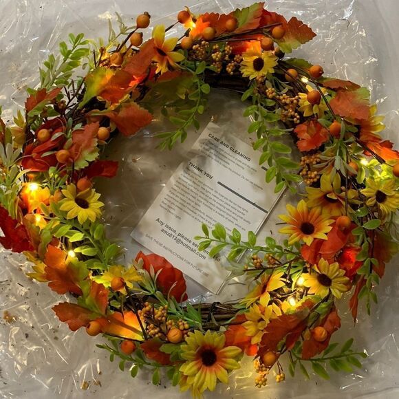 Beautiful Door wreath (or inside wall decor) w/LED lights - Picture 2 of 6